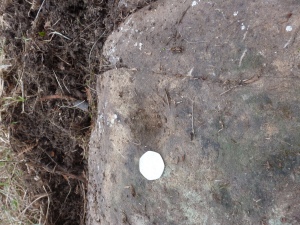 Some of the stones have other markings that look man-made. Not ring marks but some sort of carving.